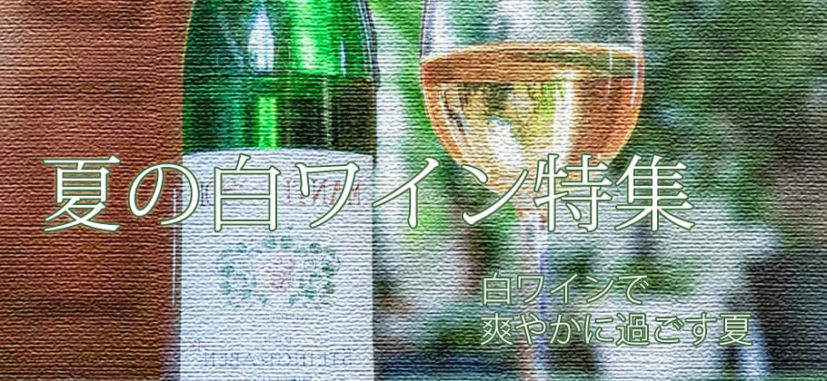 夏の白ワイン特集